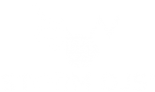 Storm DJs Logo vertical official cut